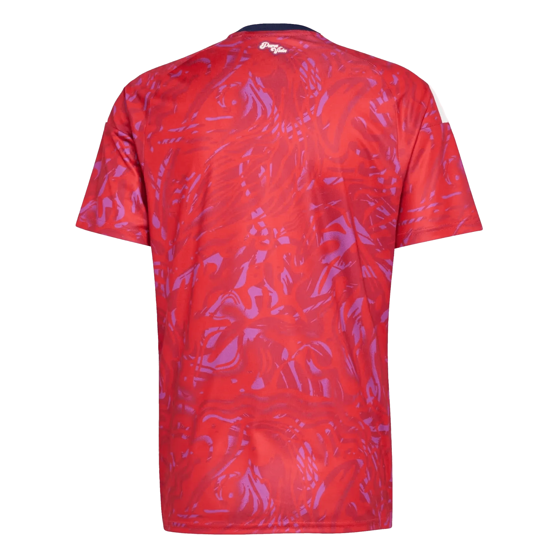 Dorsal de la camiseta de Costa Rica Mundial 2026 - Equipación local roja.