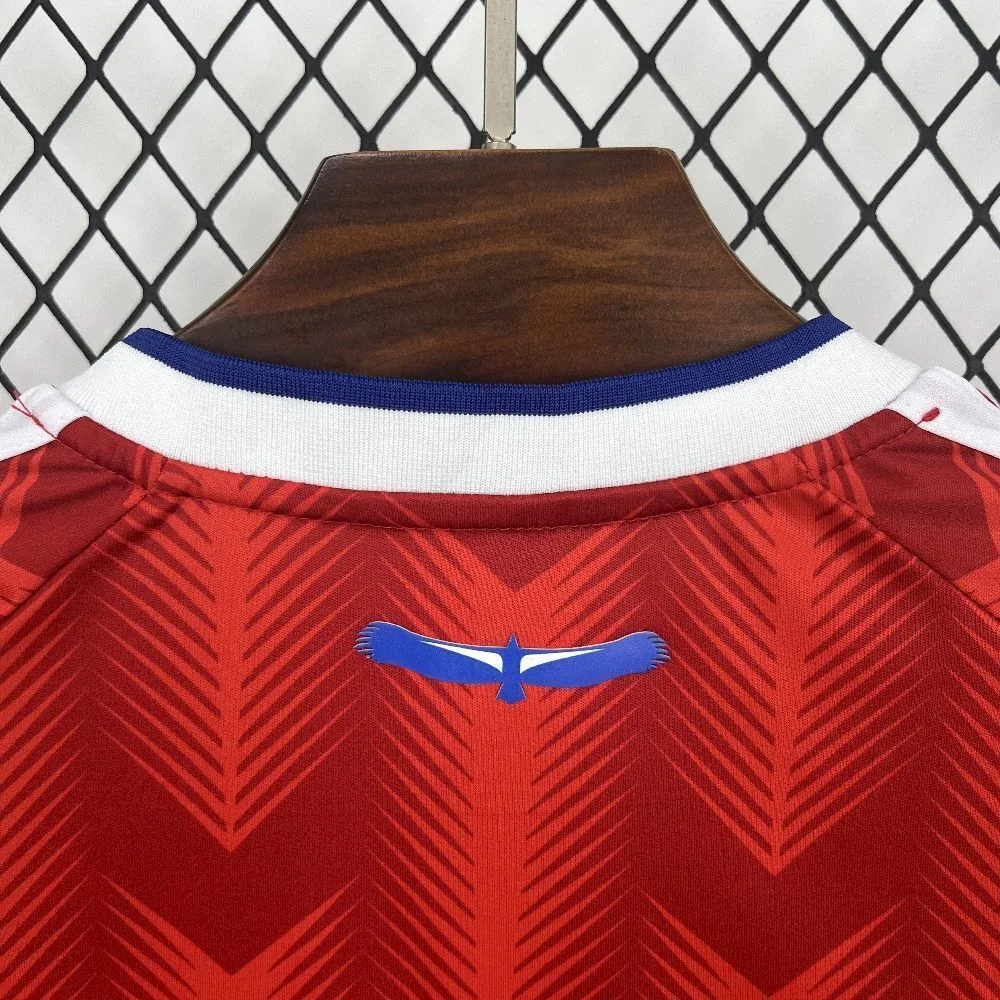 Detalle de la parte posterior del cuello con el gráfico de un cóndor azul con alas extendidas sobre el tejido rojo.