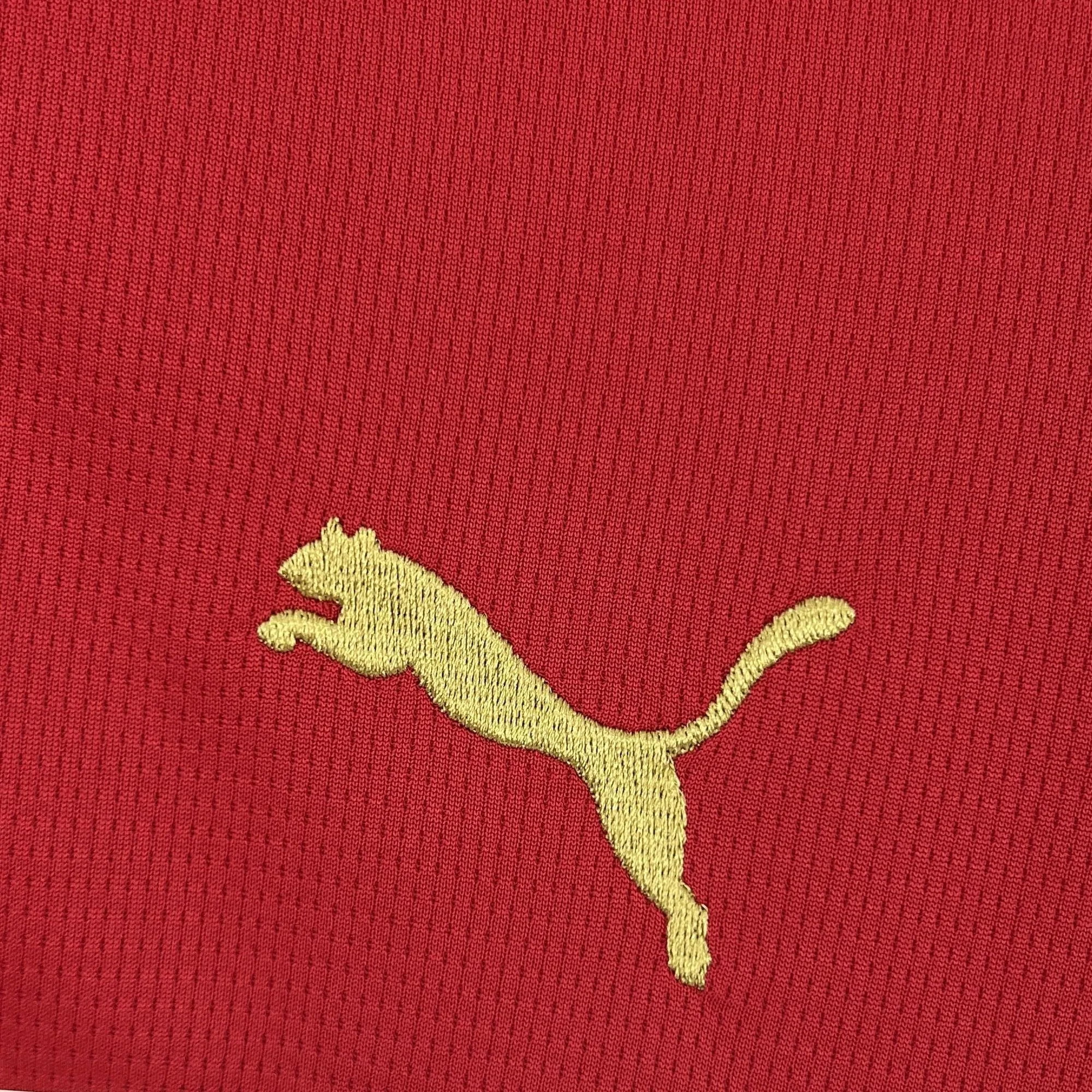 Primer plano de la silueta de un felino bordada en hilo dorado sobre el tejido técnico rojo de la camiseta de Marruecos.