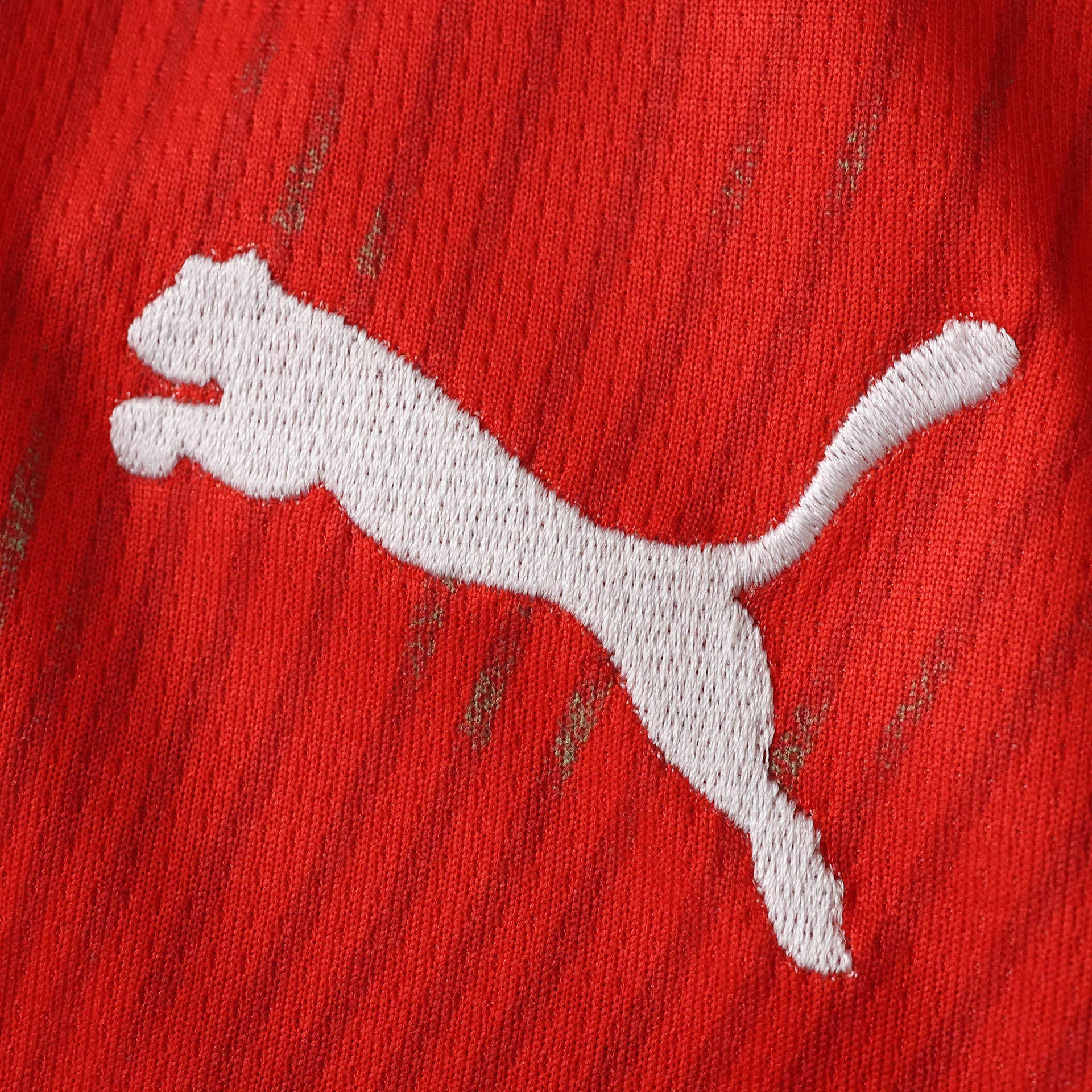 Detalle de logotipo decorativo bordado en color blanco sobre el tejido técnico rojo de la selección de Suiza.